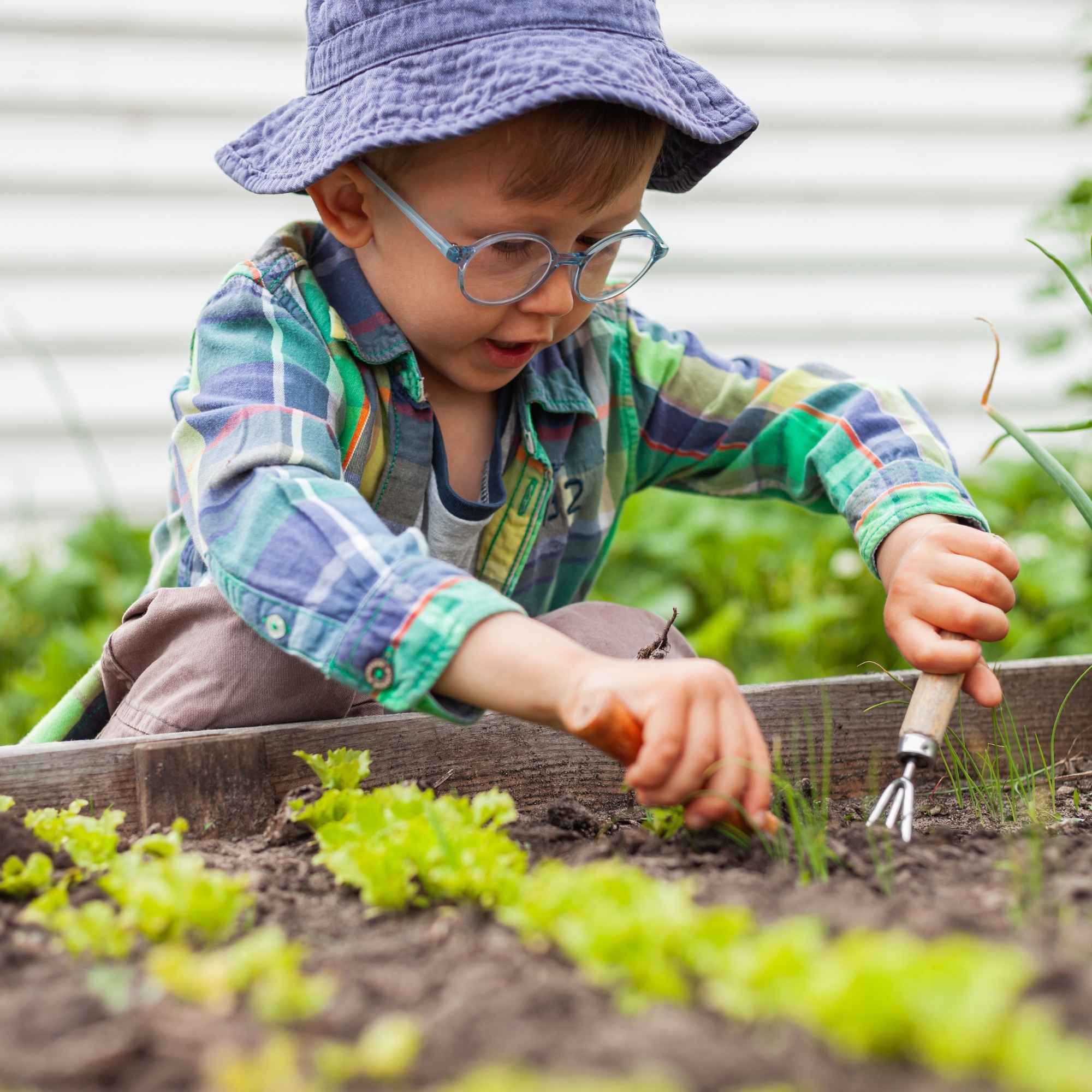PureGrow