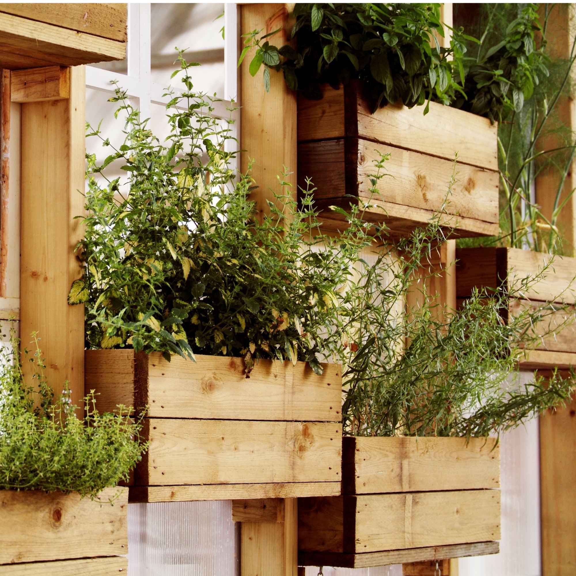 PureGrow